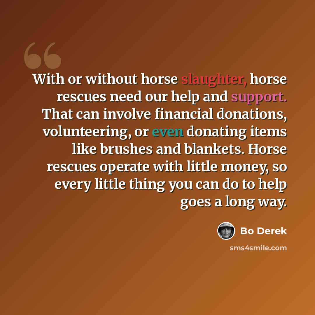 “With or without horse slaughter, horse rescues need our help and support. That can involve financial donations, volunteering, or even donating items like brushes and blankets. Horse rescues operate with little money, so every little thing you can do to help goes a long way.” quote by Bo Derek