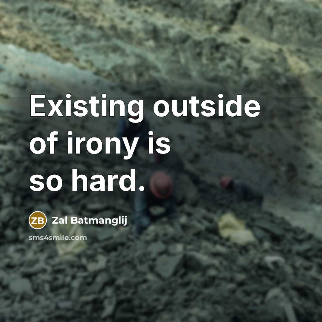 “Existing outside of irony is so hard.” quote by Zal Batmanglij