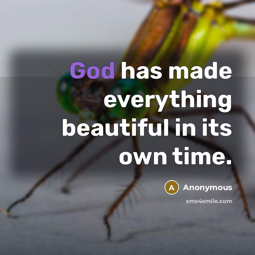 “God has made everything beautiful in its own time.” quote by Anonymous