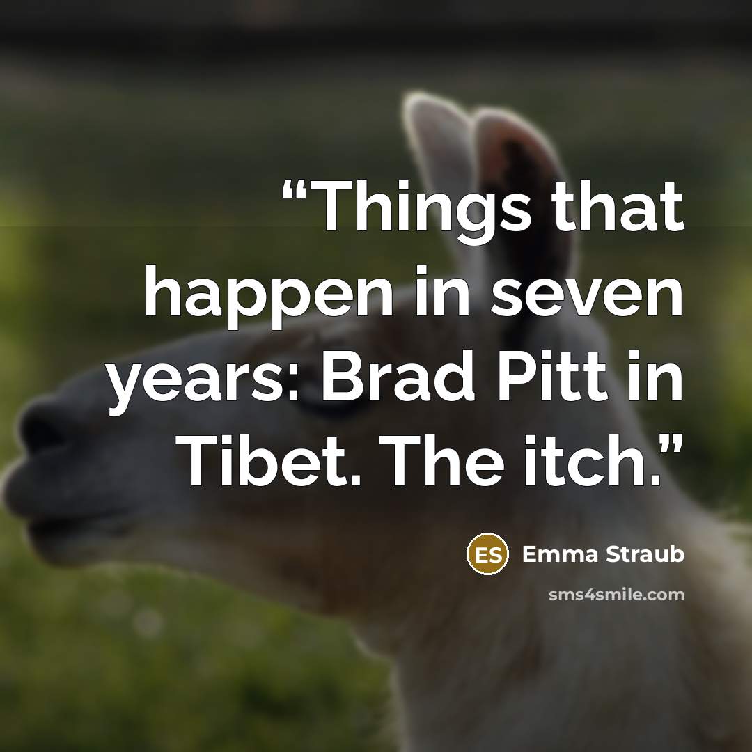 “Things that happen in seven years: Brad Pitt in Tibet. The itch.” quote by Emma Straub