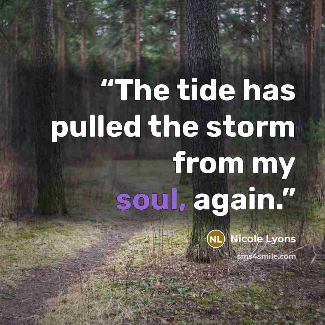 “The tide has pulled the storm from my soul, again.” quote by Nicole Lyons