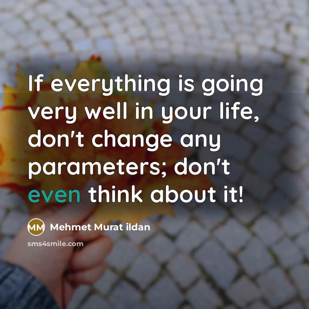 “If everything is going very well in your life, don't change any parameters; don't even think about it!” quote by Mehmet Murat Ildan