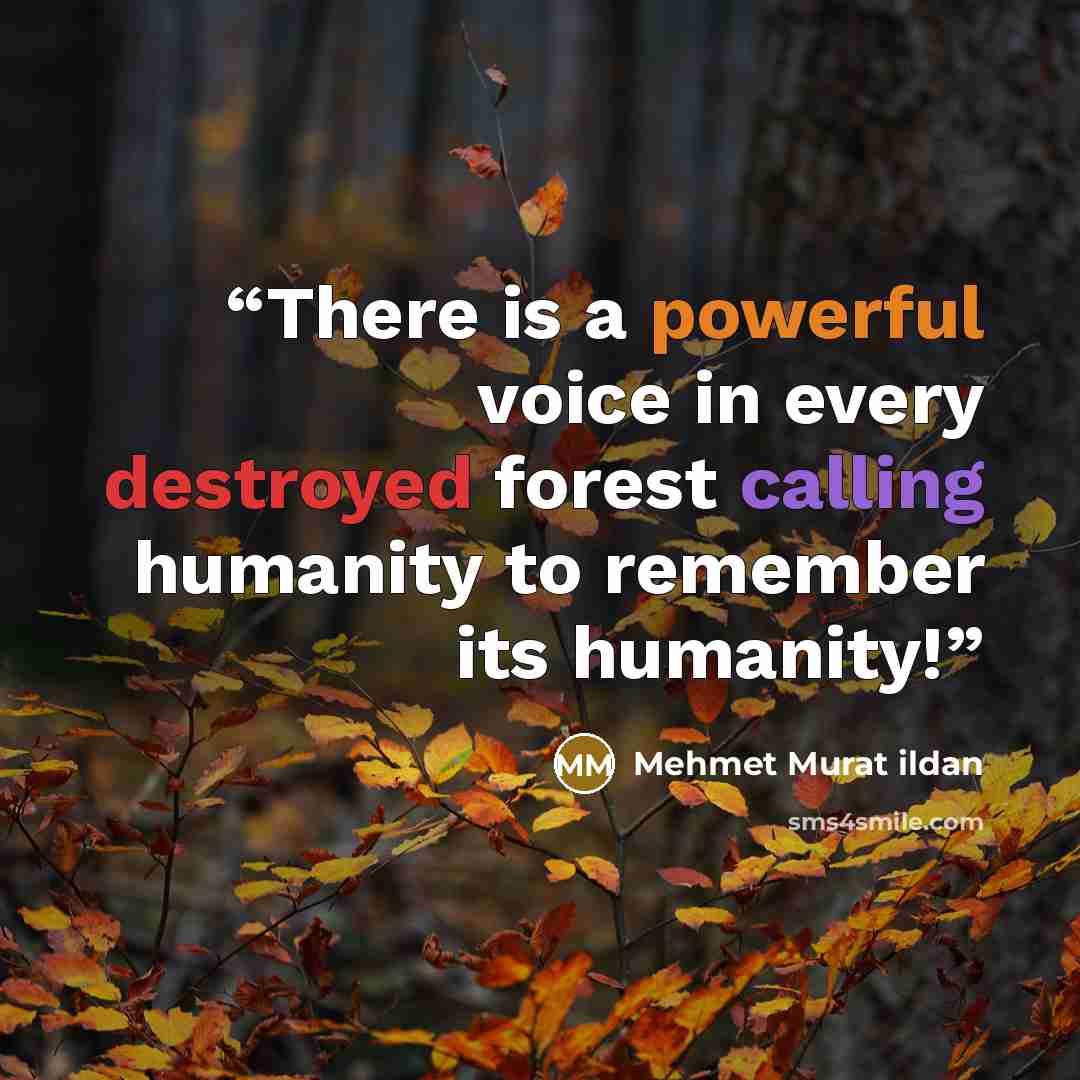 “There is a powerful voice in every destroyed forest calling humanity to remember its humanity!” quote by Mehmet Murat ildan