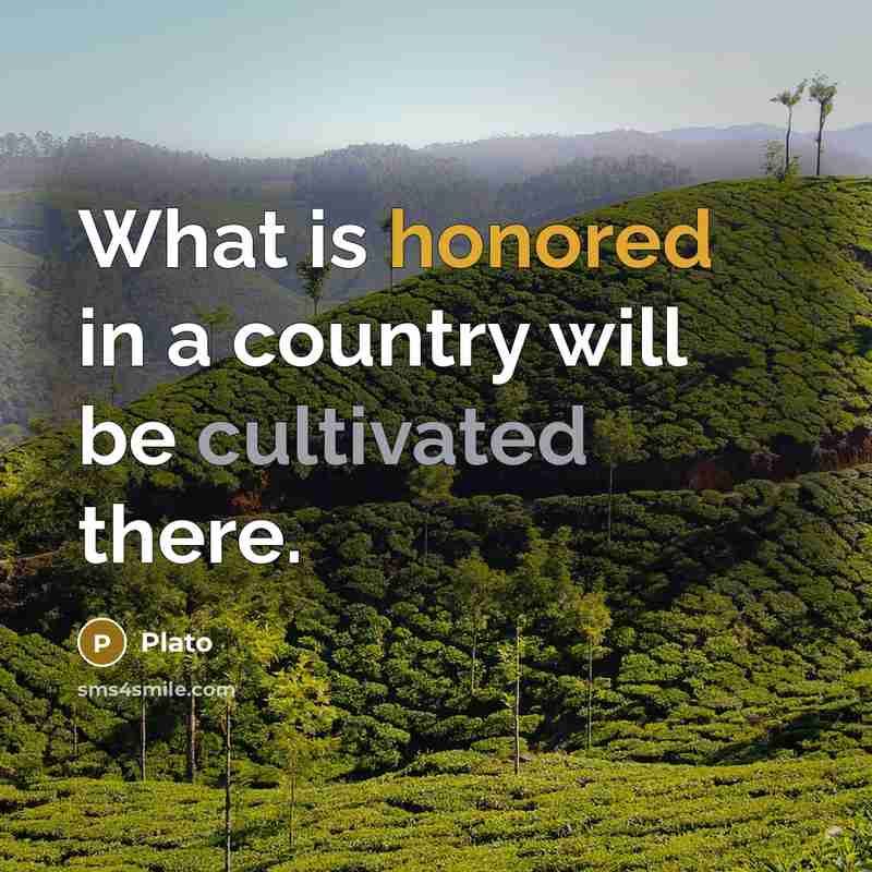 “What is honored in a country will be cultivated there.” quote by Plato