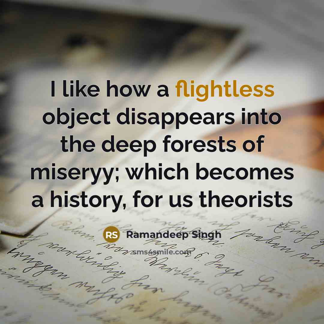 “I like how a flightless object disappears into the deep forests of miseryy; which becomes a history, for us theorists” quote by Ramandeep Singh