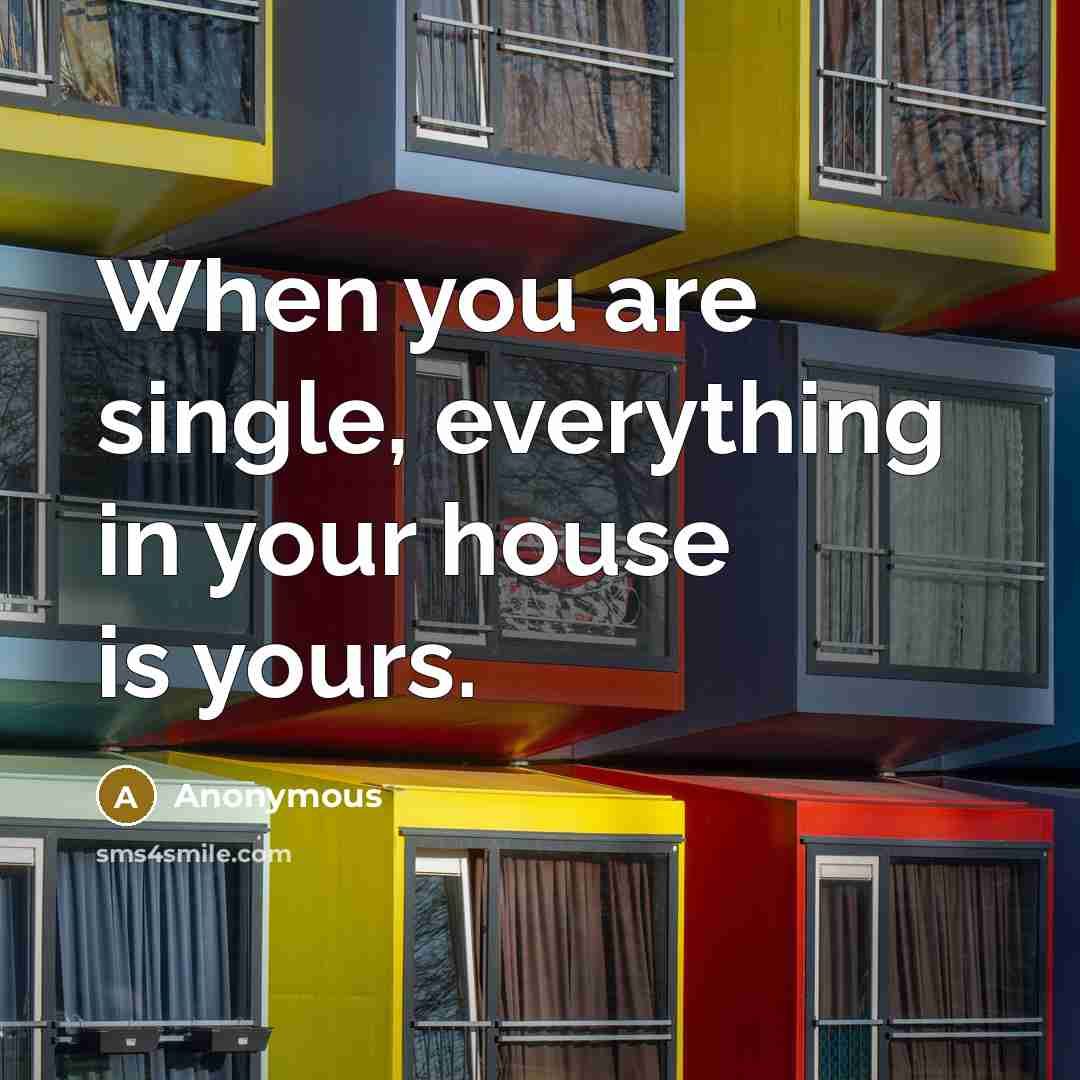 “When you are single, everything in your house is yours.” quote by Anonymous