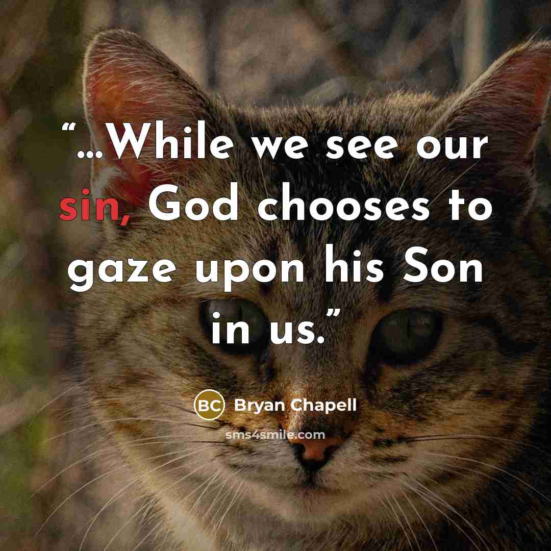 “…While we see our sin, God chooses to gaze upon his Son in us.” quote by Bryan Chapell