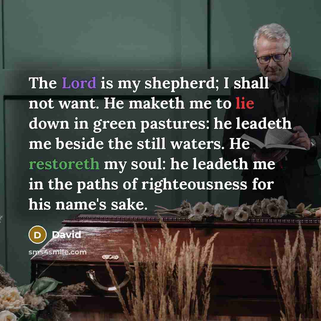 “The Lord is my shepherd; I shall not want. He maketh me to lie down in green pastures: he leadeth me beside the still waters. He restoreth my soul: he leadeth me in the paths of righteousness for his name's sake.” quote by David