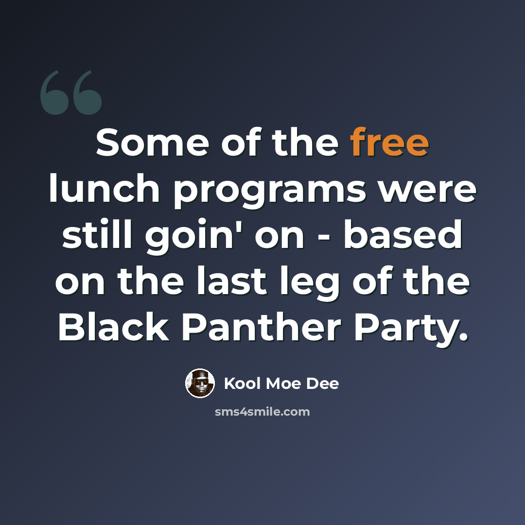 “Some of the free lunch programs were still goin' on - based on the last leg of the Black Panther Party.” quote by Kool Moe Dee