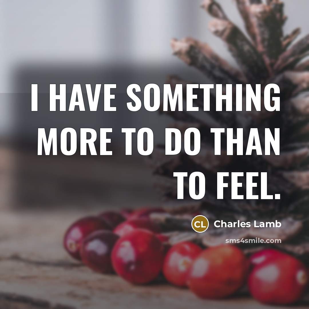 “I have something more to do than to feel.” quote by Charles Lamb