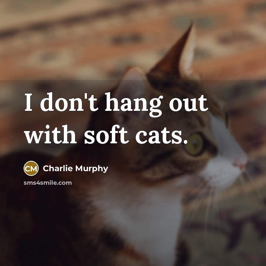“I don't hang out with soft cats.” quote by Charlie Murphy