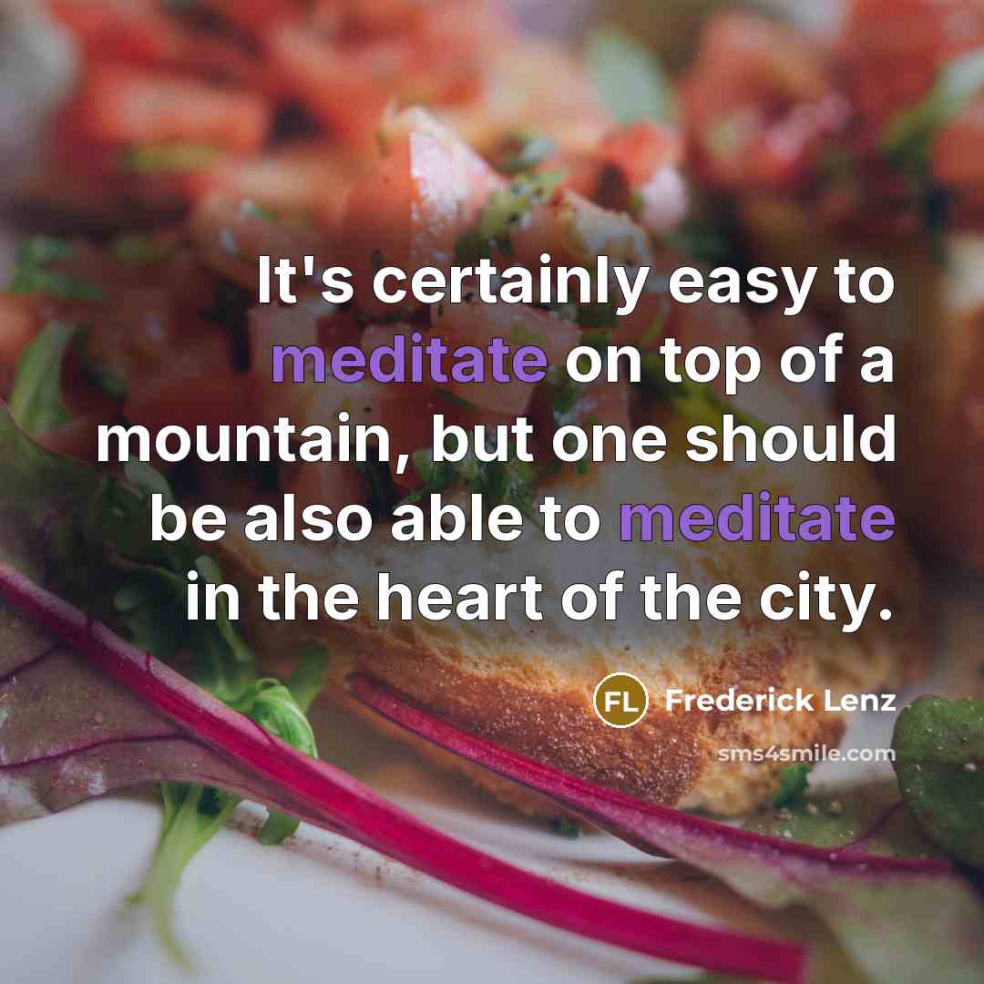 “It's certainly easy to meditate on top of a mountain, but one should be also able to meditate in the heart of the city.” quote by Frederick Lenz