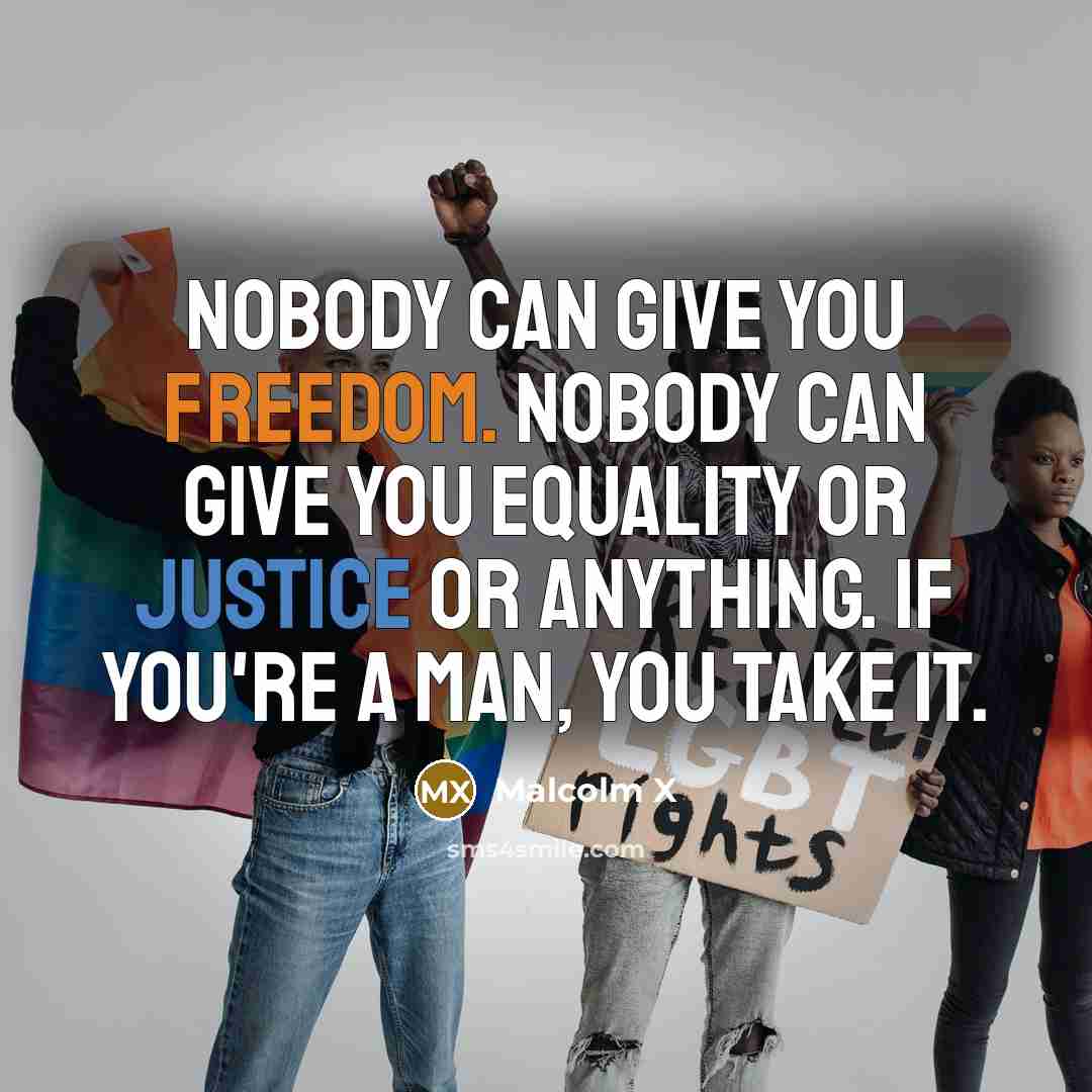 “Nobody can give you freedom. Nobody can give you equality or justice or anything. If you're a man, you take it.” quote by Malcolm X