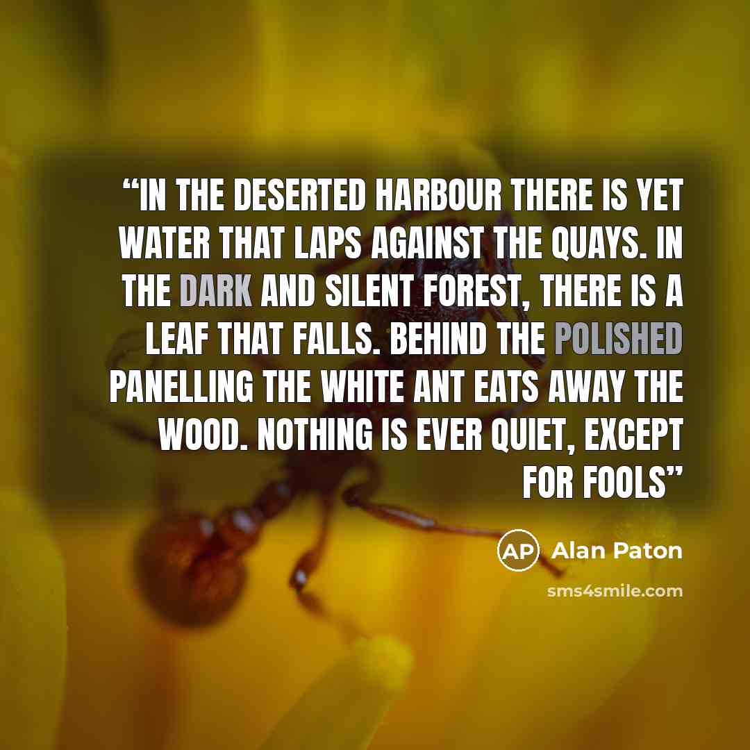 “In the deserted harbour there is yet water that laps against the quays. In the dark and silent forest, there is a leaf that falls. Behind the polished panelling the white ant eats away the wood. Nothing is ever quiet, except for fools” quote by Alan Paton