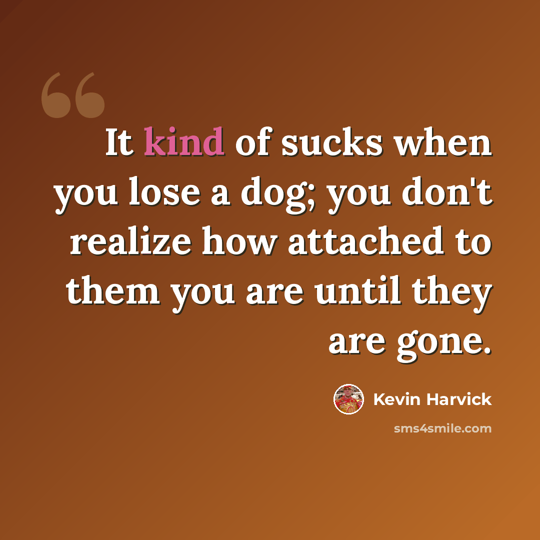 “It kind of sucks when you lose a dog; you don't realize how attached to them you are until they are gone.” quote by Kevin Harvick