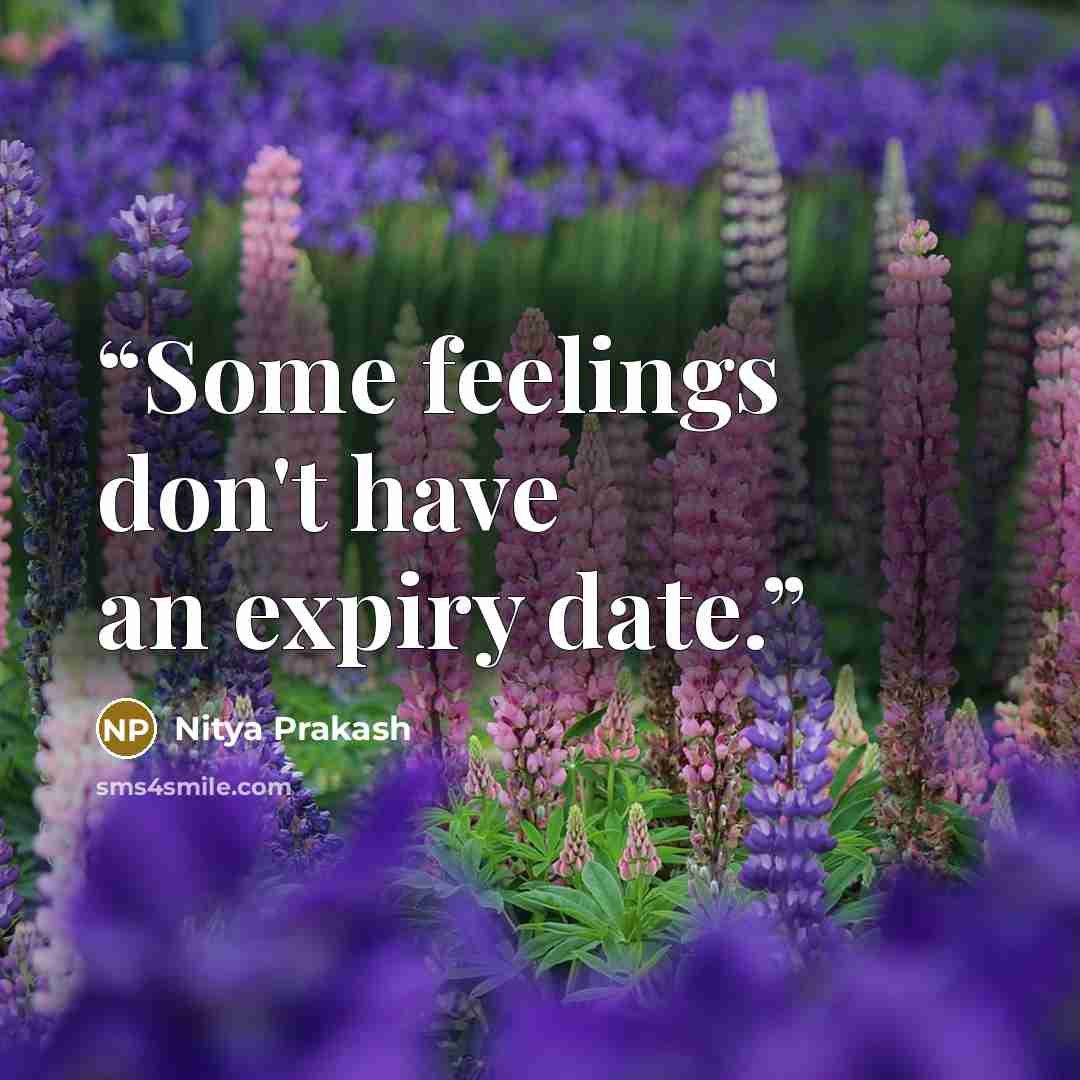 “Some feelings don't have an expiry date.” quote by Nitya Prakash