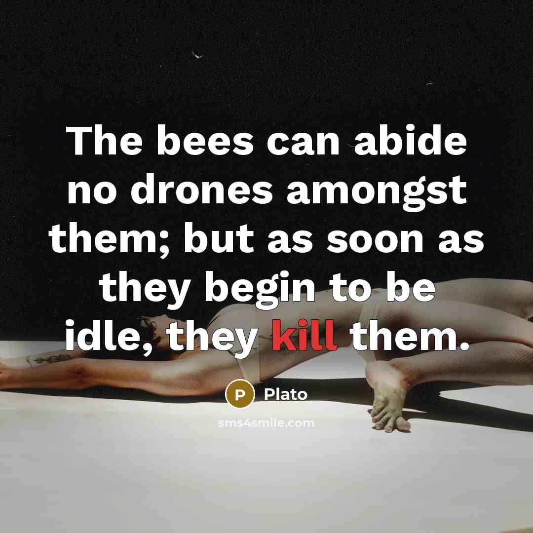 “The bees can abide no drones amongst them; but as soon as they begin to be idle, they kill them.” quote by Plato