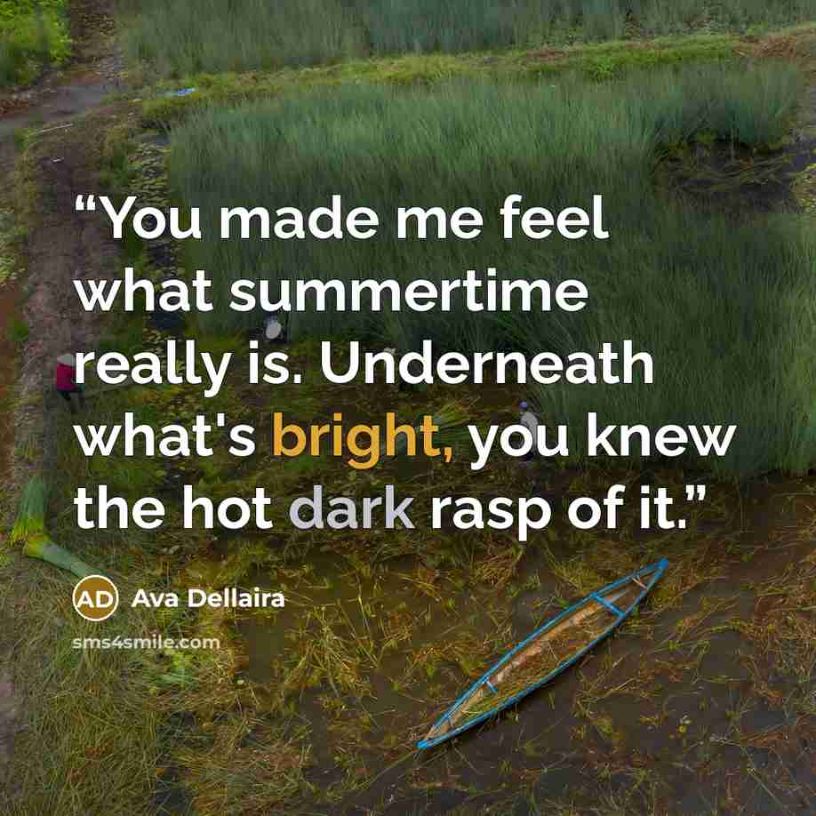 “You made me feel what summertime really is. Underneath what's bright, you knew the hot dark rasp of it.” quote by Ava Dellaira