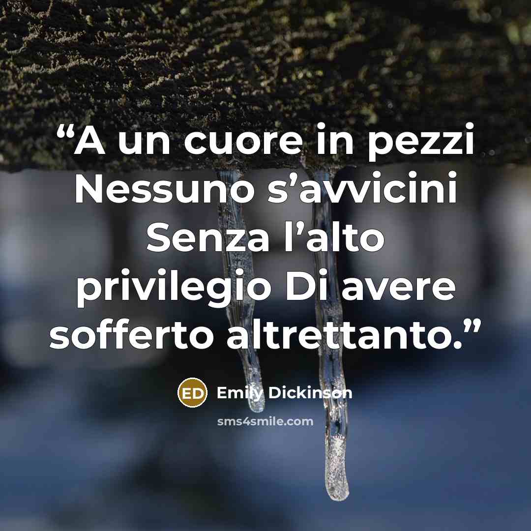 “A un cuore in pezzi Nessuno s’avvicini Senza l’alto privilegio Di avere sofferto altrettanto.” quote by Emily Dickinson