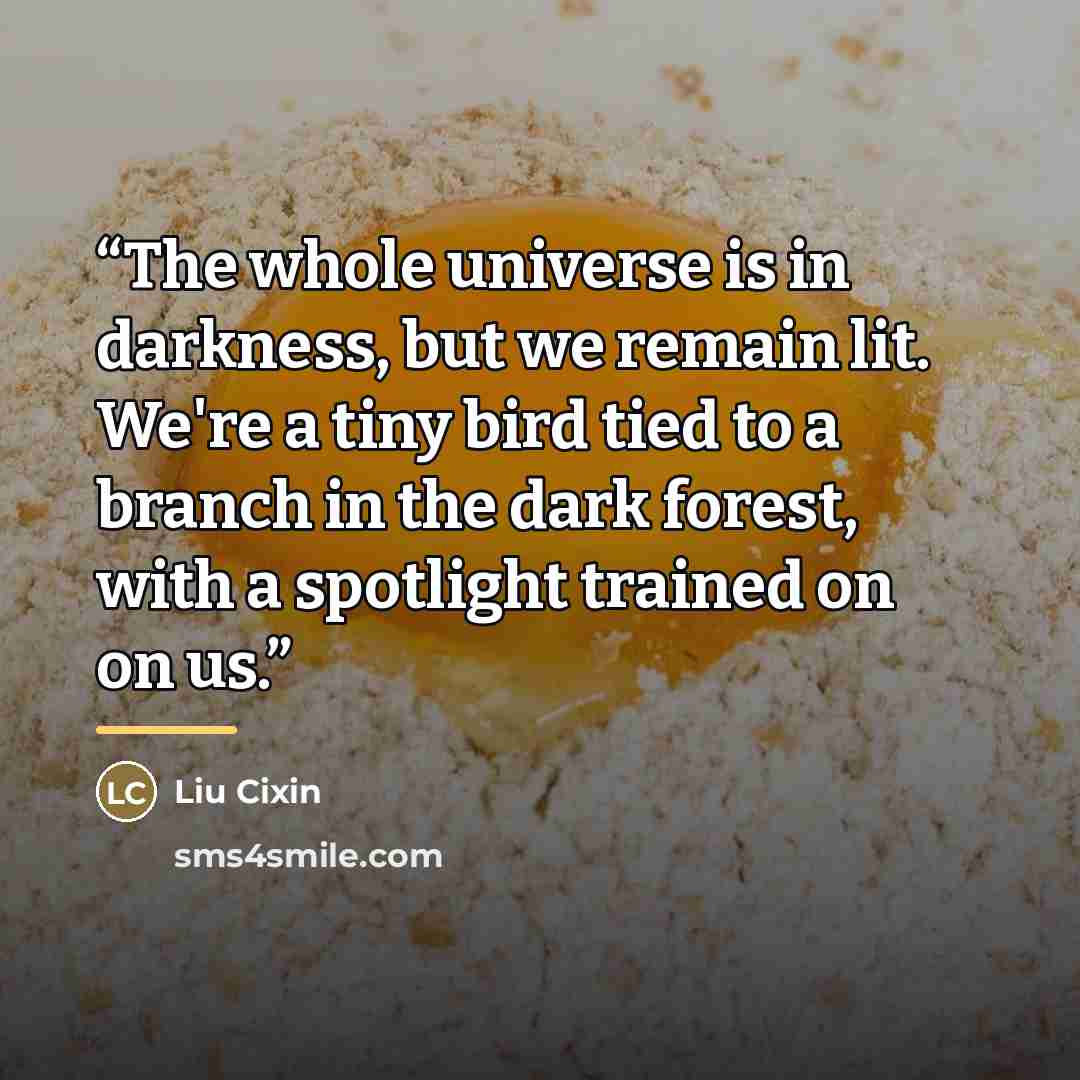 “The whole universe is in darkness, but we remain lit. We're a tiny bird tied to a branch in the dark forest, with a spotlight trained on on us.” quote by Liu Cixin