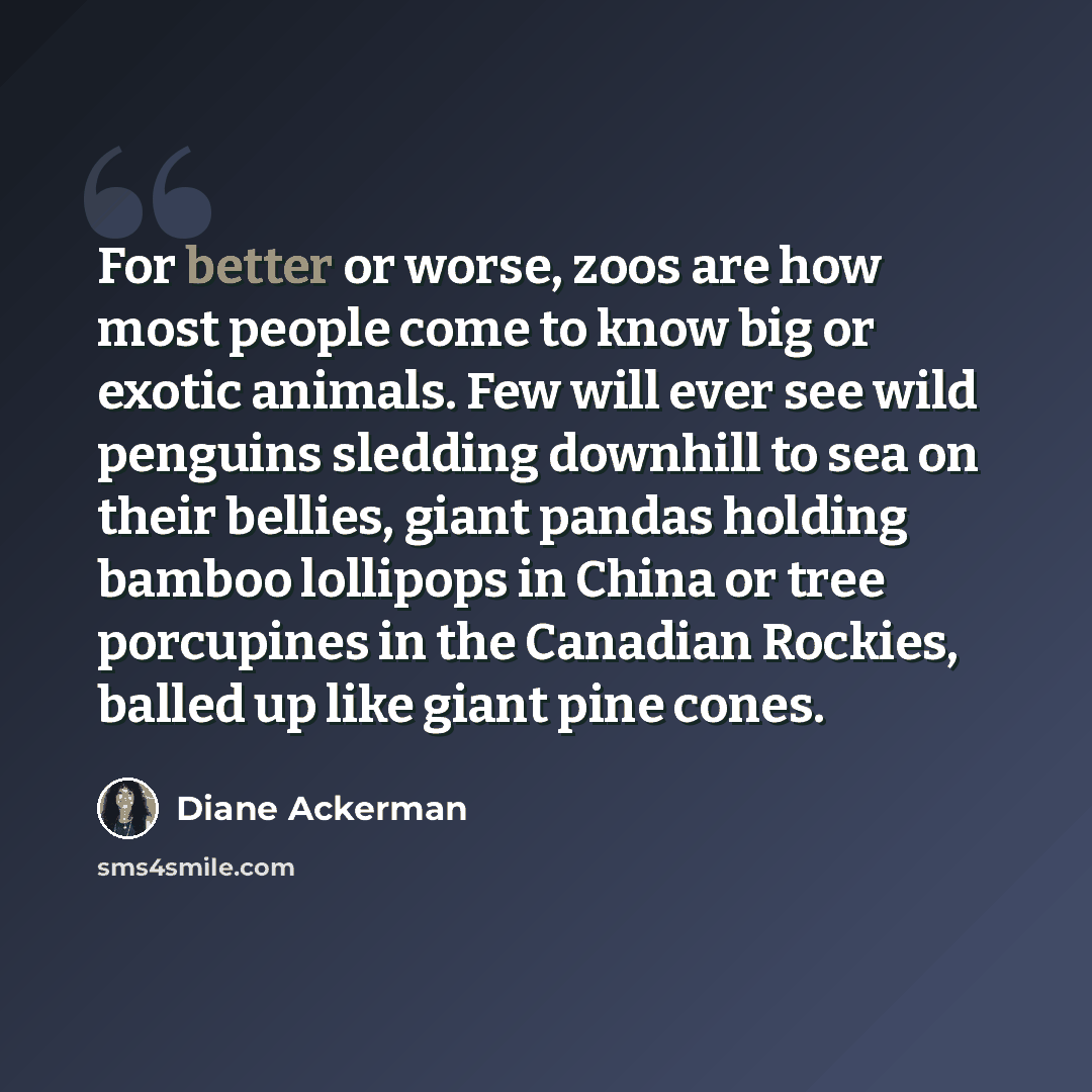 “For better or worse, zoos are how most people come to know big or exotic animals. Few will ever see wild penguins sledding downhill to sea on their bellies, giant pandas holding bamboo lollipops in China or tree porcupines in the Canadian Rockies, balled up like giant pine cones.” quote by Diane Ackerman