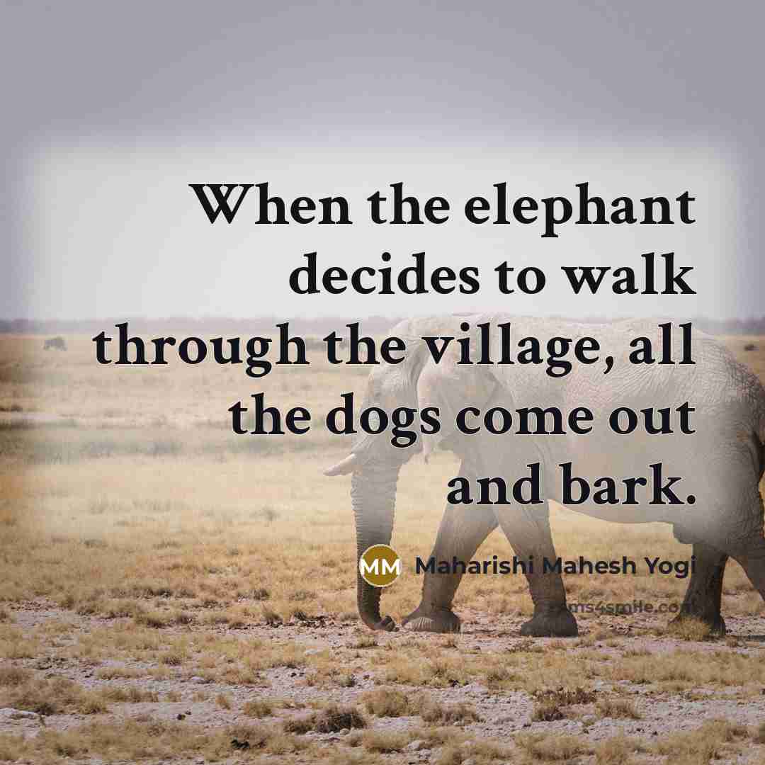 “When the elephant decides to walk through the village, all the dogs come out and bark.” quote by Maharishi Mahesh Yogi