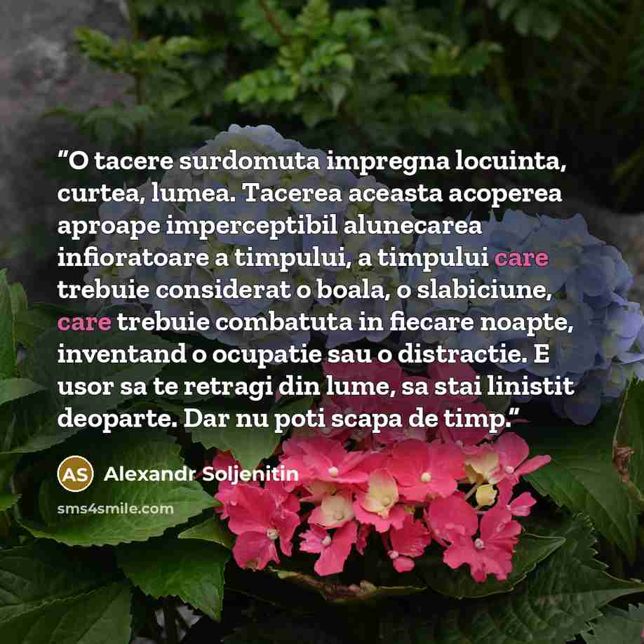 “O tacere surdomuta impregna locuinta, curtea, lumea. Tacerea aceasta acoperea aproape imperceptibil alunecarea infioratoare a timpului, a timpului care trebuie considerat o boala, o slabiciune, care trebuie combatuta in fiecare noapte, inventand o ocupatie sau o distractie. E usor sa te retragi…” quote by Alexandr Soljenitin