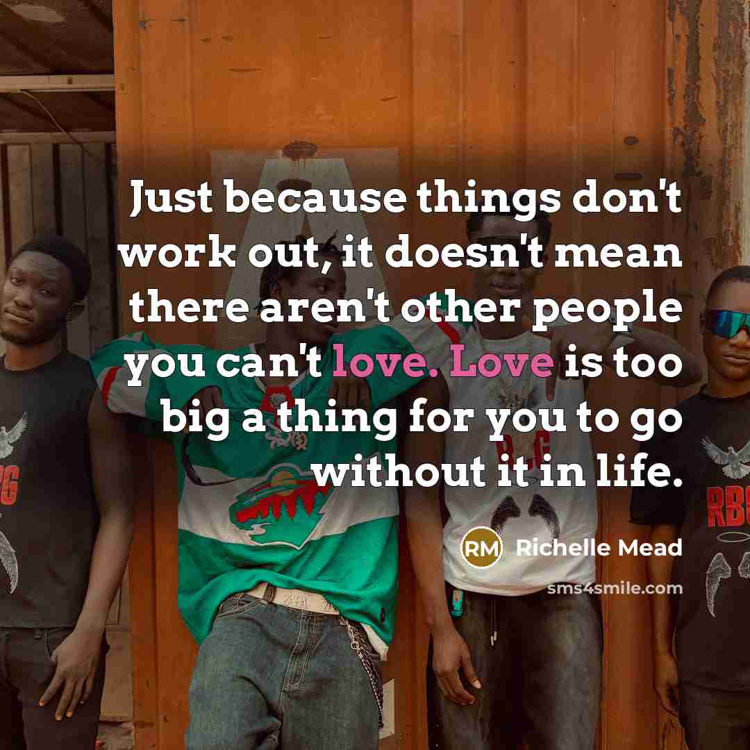 “Just because things don't work out, it doesn't mean there aren't other people you can't love. Love is too big a thing for you to go without it in life.” quote by Richelle Mead