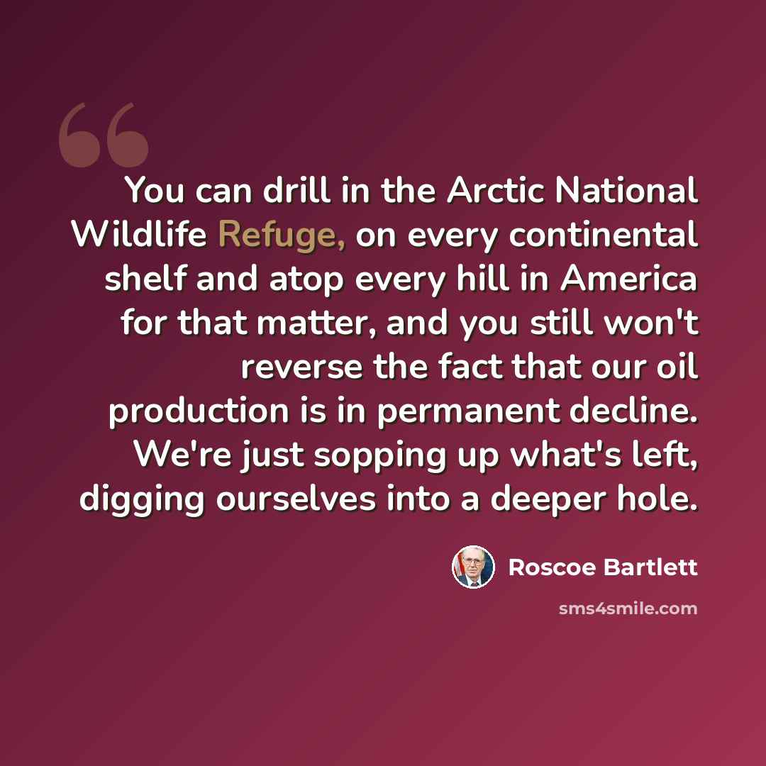 “You can drill in the Arctic National Wildlife Refuge, on every continental shelf and atop every hill in America for that matter, and you still won't reverse the fact that our oil production is in permanent decline. We're just sopping up what's left, digging ourselves into a deeper hole.” quote by Roscoe Bartlett