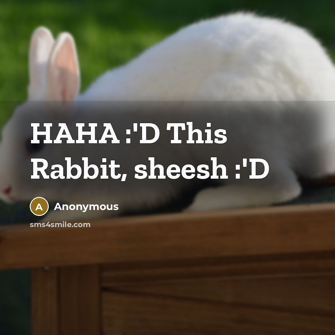 “HAHA :'D This Rabbit, sheesh :'D” quote by Anonymous