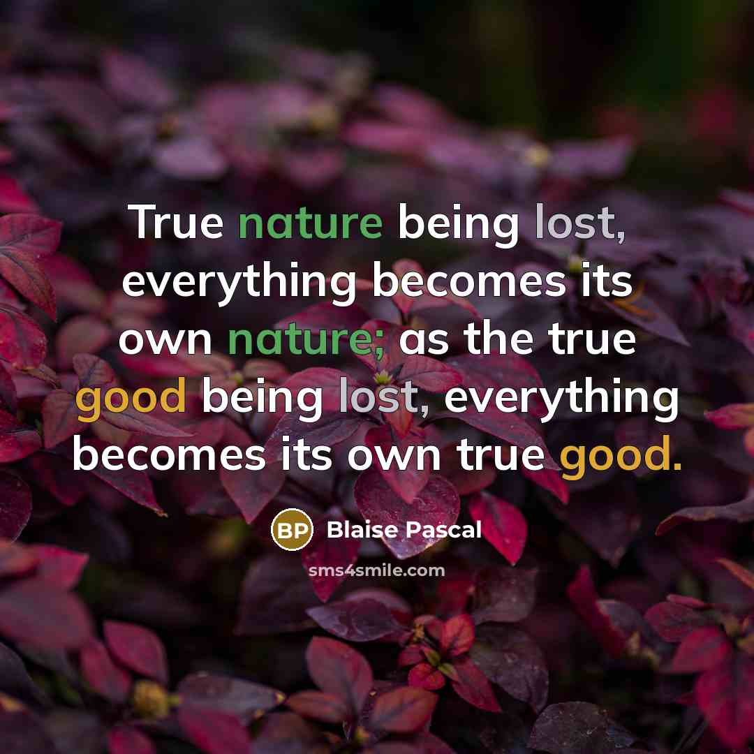“True nature being lost, everything becomes its own nature; as the true good being lost, everything becomes its own true good.” quote by Blaise Pascal