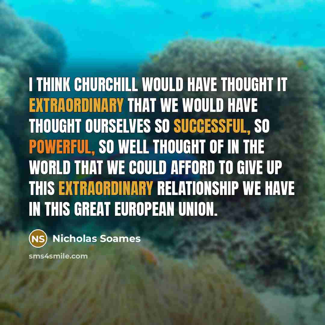 “I think Churchill would have thought it extraordinary that we would have thought ourselves so successful, so powerful, so well thought of in the world that we could afford to give up this extraordinary relationship we have in this great European Union.” quote by Nicholas Soames