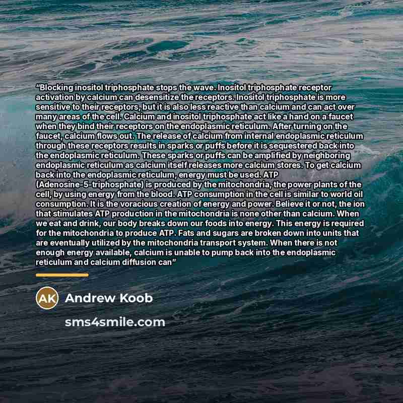 “Blocking inositol triphosphate stops the wave. Inositol triphosphate receptor activation by calcium can desensitize the receptors. Inositol triphosphate is more sensitive to their receptors, but it is also less reactive than calcium and can act over many areas of the cell. Calcium and inositol…” quote by Andrew Koob