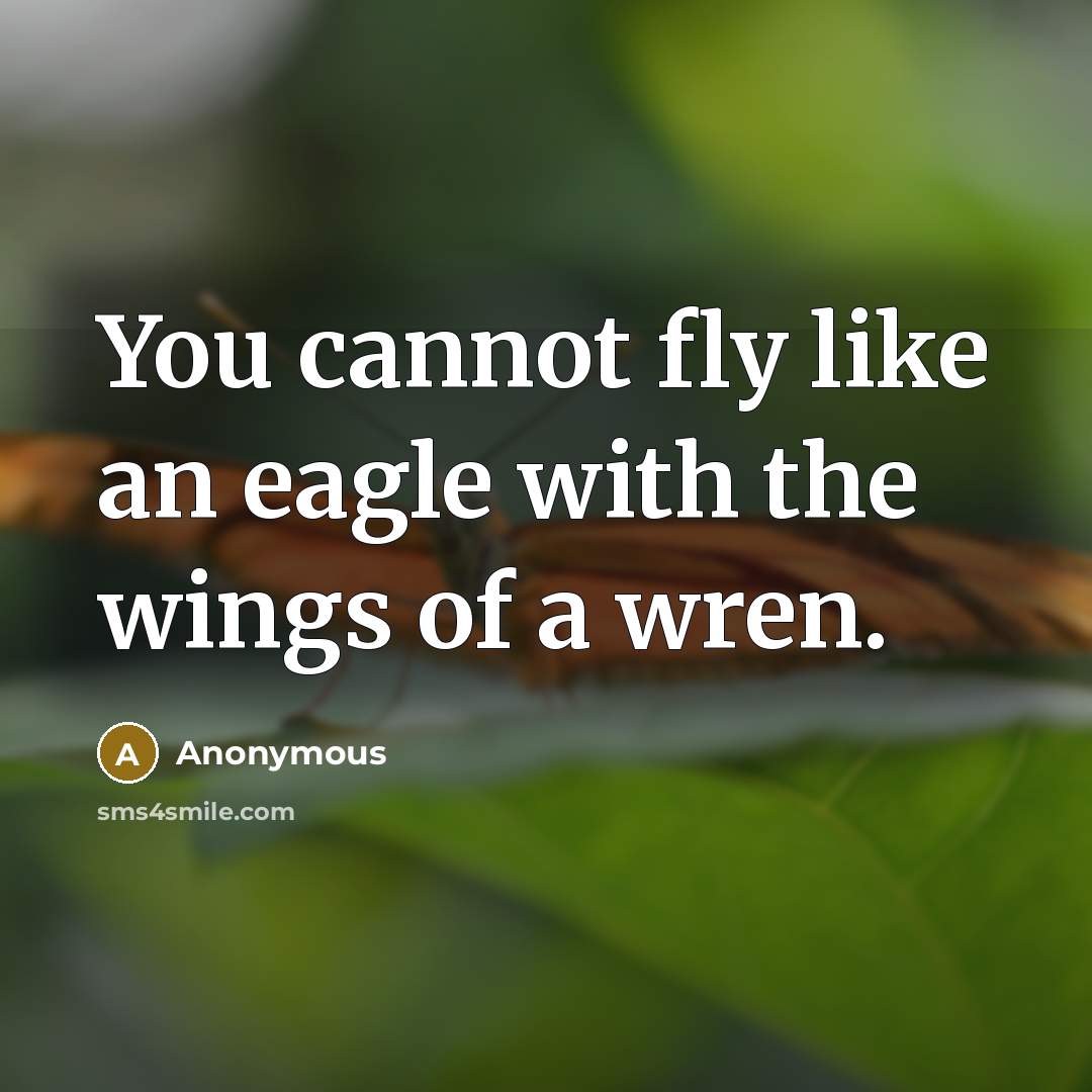 “You cannot fly like an eagle with the wings of a wren.” quote by Anonymous