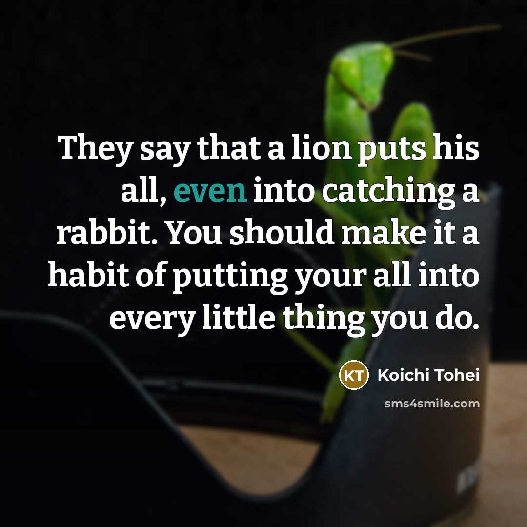 “They say that a lion puts his all, even into catching a rabbit. You should make it a habit of putting your all into every little thing you do.” quote by Koichi Tohei