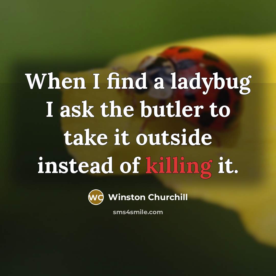 “When I find a ladybug I ask the butler to take it outside instead of killing it.” quote by Winston Churchill