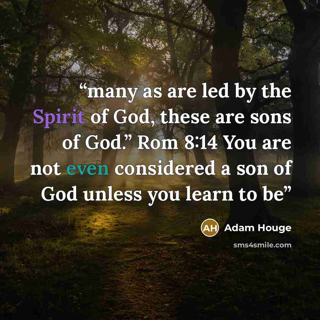 “many as are led by the Spirit of God, these are sons of God.” Rom 8:14 You are not even considered a son of God unless you learn to be” quote by Adam Houge