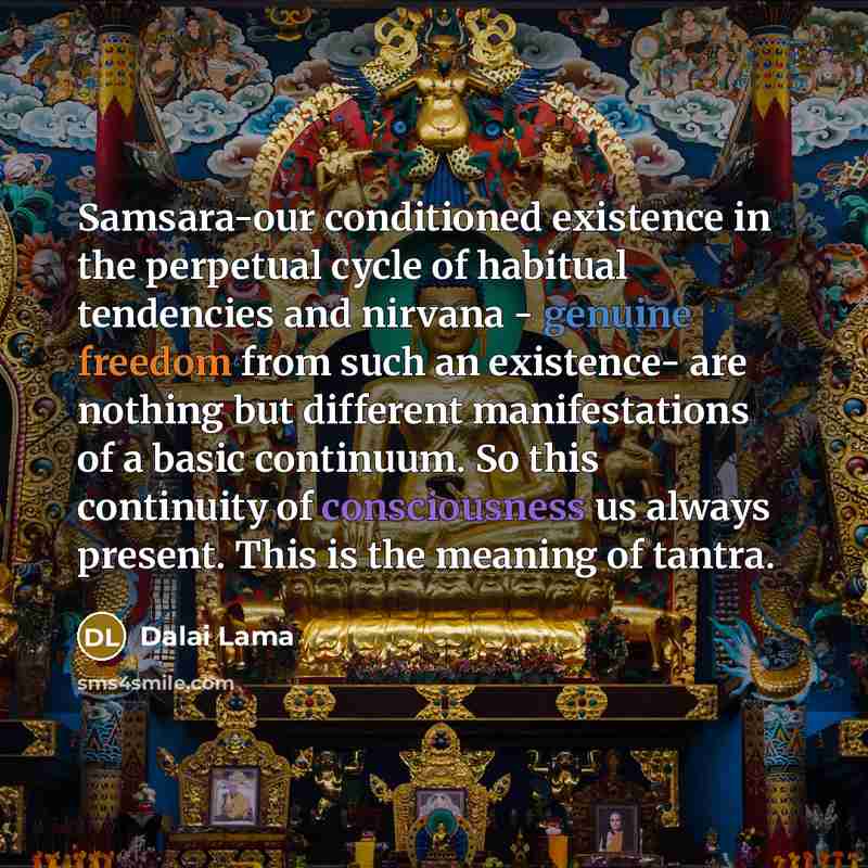 “Samsara-our conditioned existence in the perpetual cycle of habitual tendencies and nirvana - genuine freedom from such an existence- are nothing but different manifestations of a basic continuum. So this continuity of consciousness us always present. This is the meaning of tantra.” quote by Dalai Lama