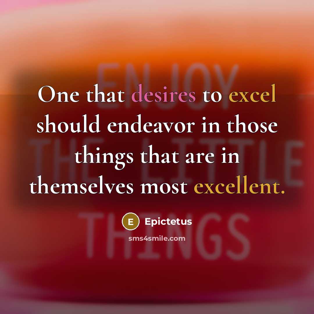 “One that desires to excel should endeavor in those things that are in themselves most excellent.” quote by Epictetus