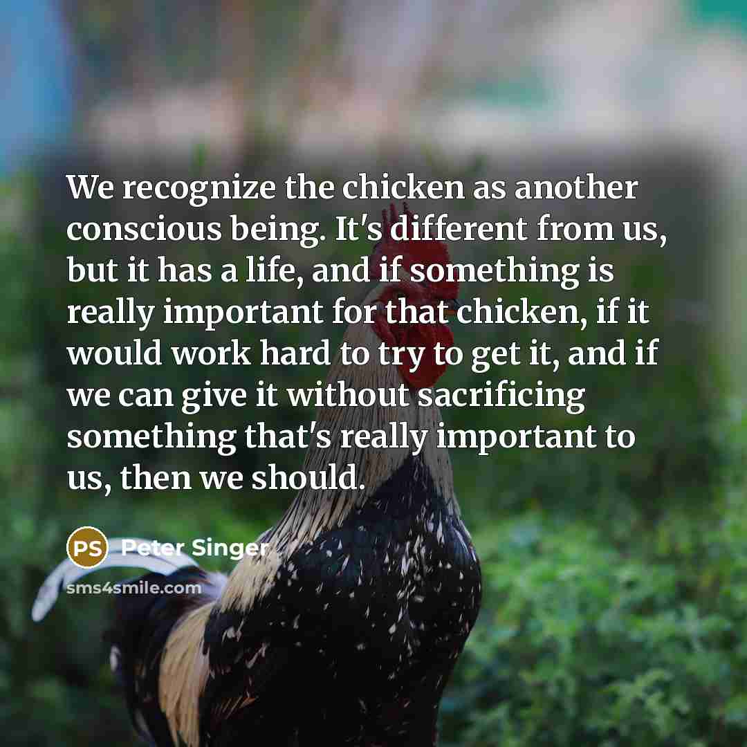 “We recognize the chicken as another conscious being. It's different from us, but it has a life, and if something is really important for that chicken, if it would work hard to try to get it, and if we can give it without sacrificing something that's really important to us, then we should.” quote by Peter Singer