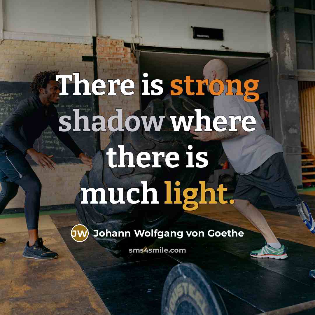 “There is strong shadow where there is much light.” quote by Johann Wolfgang von Goethe