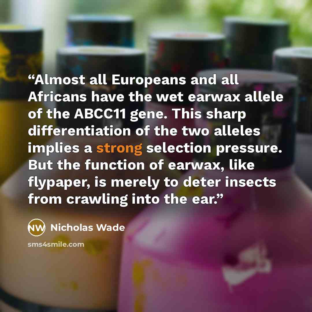 “Almost all Europeans and all Africans have the wet earwax allele of the ABCC11 gene. This sharp differentiation of the two alleles implies a strong selection pressure. But the function of earwax, like flypaper, is merely to deter insects from crawling into the ear.” quote by Nicholas Wade