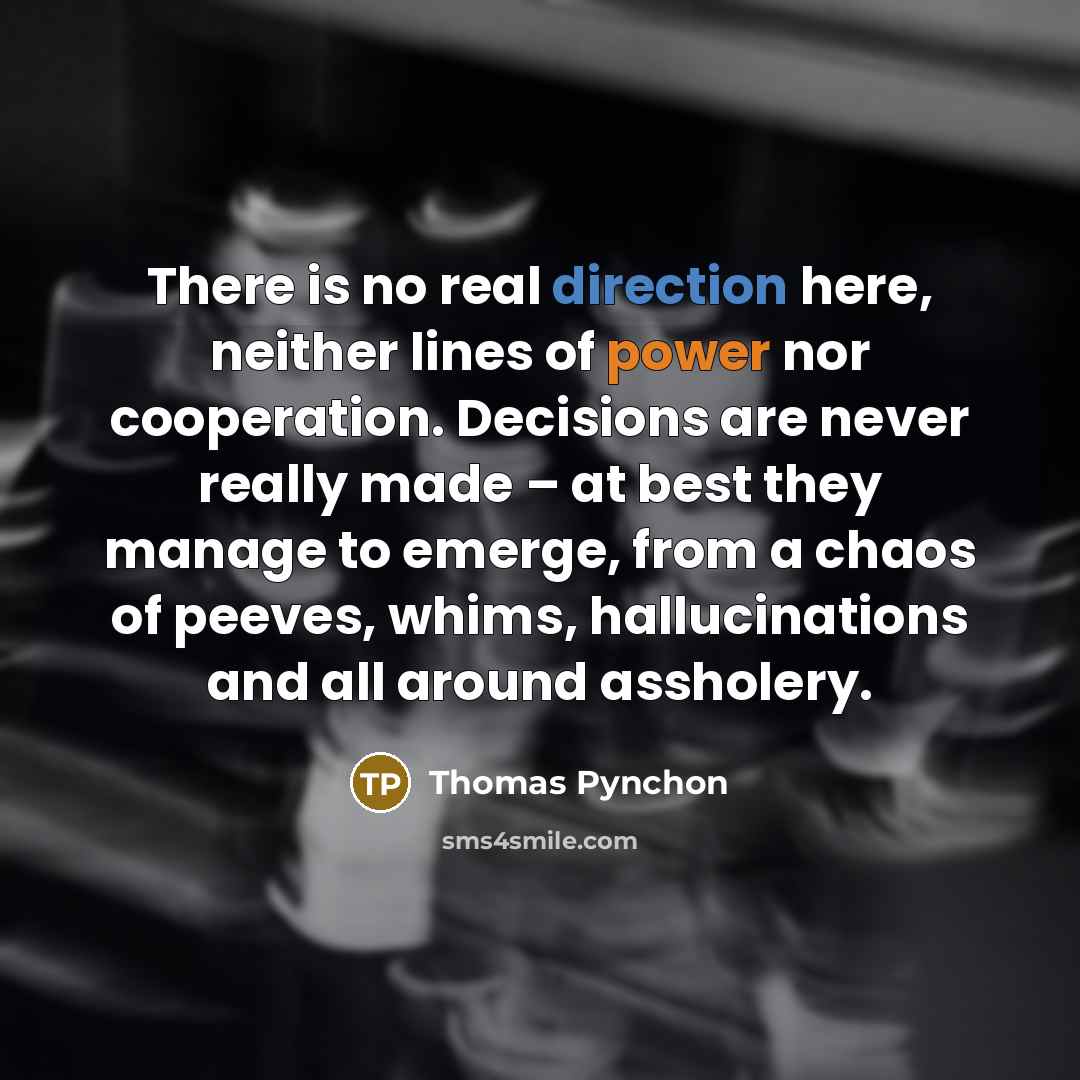 “There is no real direction here, neither lines of power nor cooperation. Decisions are never really made – at best they manage to emerge, from a chaos of peeves, whims, hallucinations and all around assholery.” quote by Thomas Pynchon
