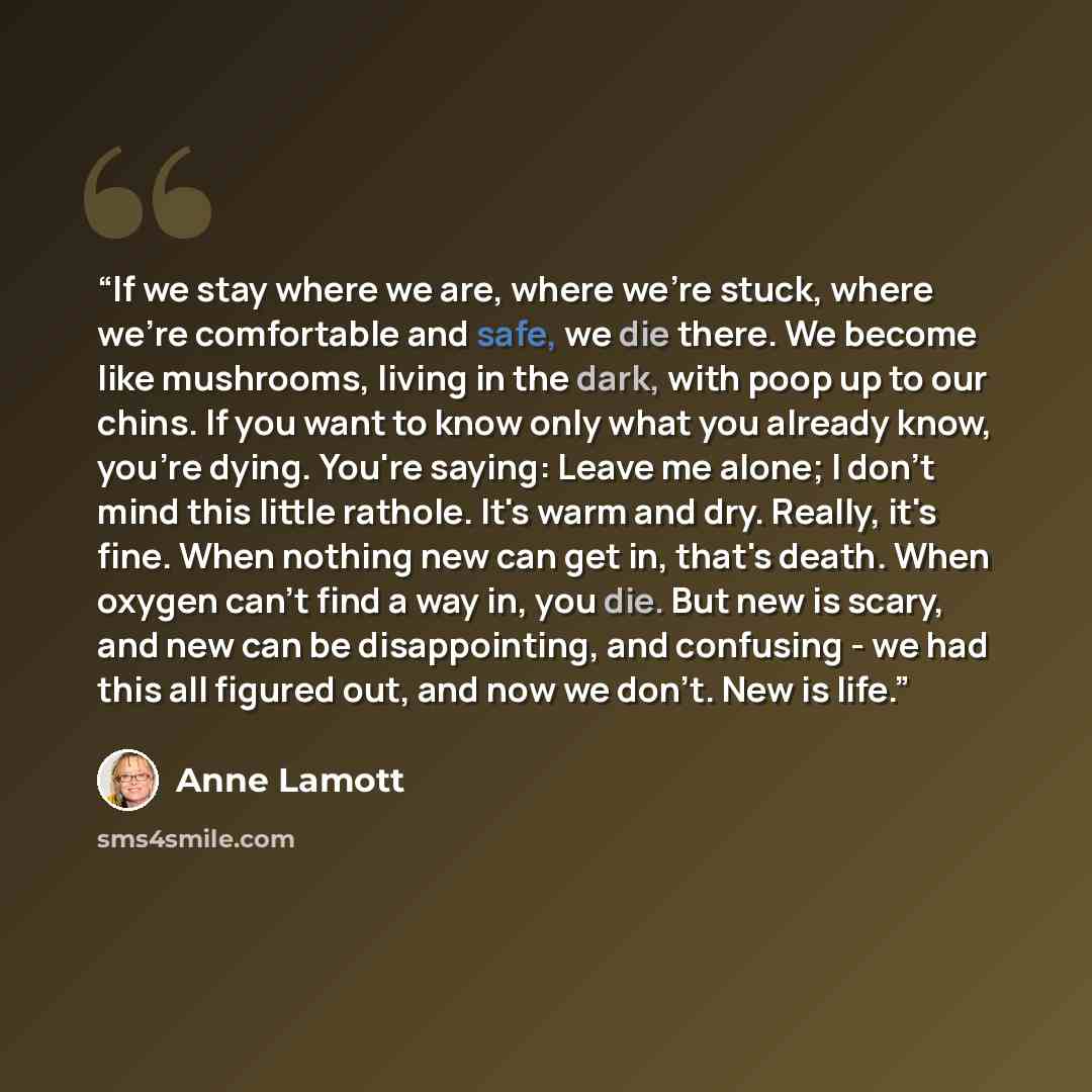“If we stay where we are, where we're stuck, where we're comfortable and safe, we die there. We become like mushrooms, living in the dark, with poop up to our chins. If you want to know only what you already know, you're dying. You're saying: Leave me alone; I don't mind this little rathole. It's…” quote by Anne Lamott