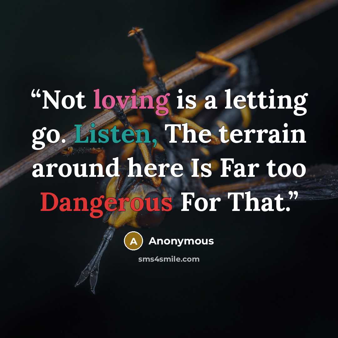 “Not loving is a letting go. Listen, The terrain around here Is Far too Dangerous For That.” quote by Anonymous