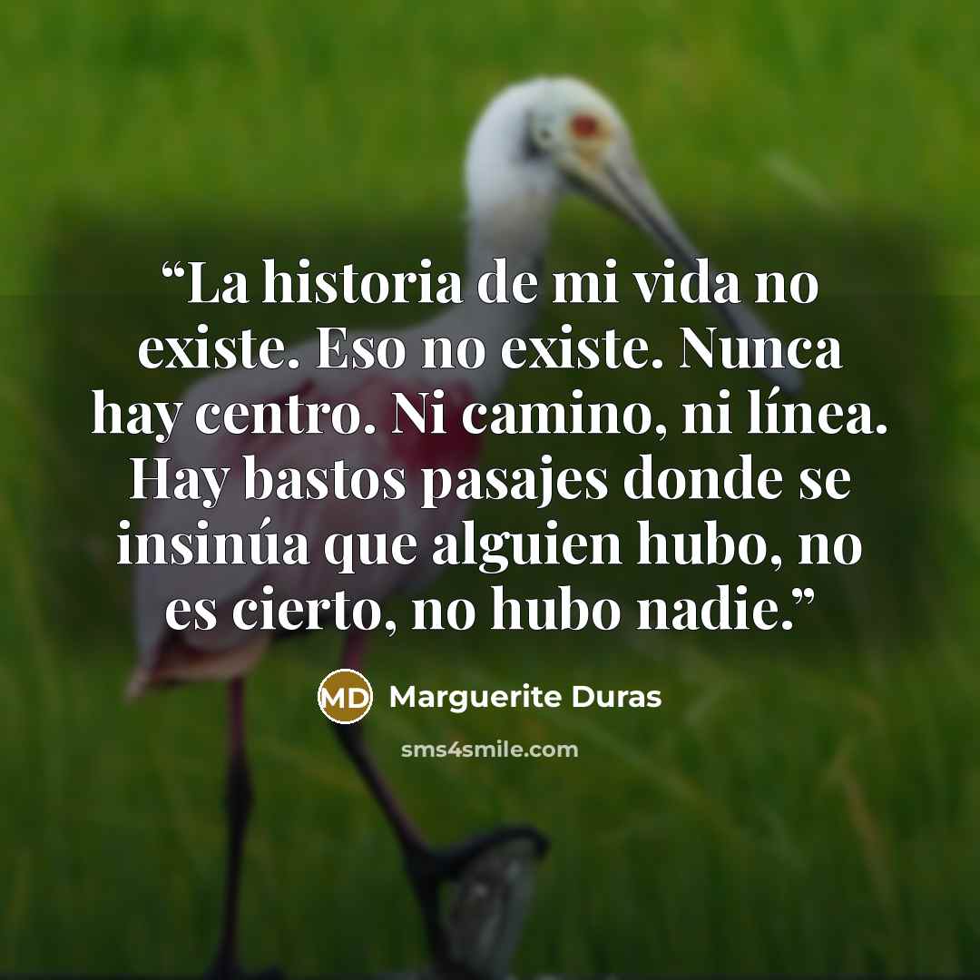“La historia de mi vida no existe. Eso no existe. Nunca hay centro. Ni camino, ni línea. Hay bastos pasajes donde se insinúa que alguien hubo, no es cierto, no hubo nadie.” quote by Marguerite Duras