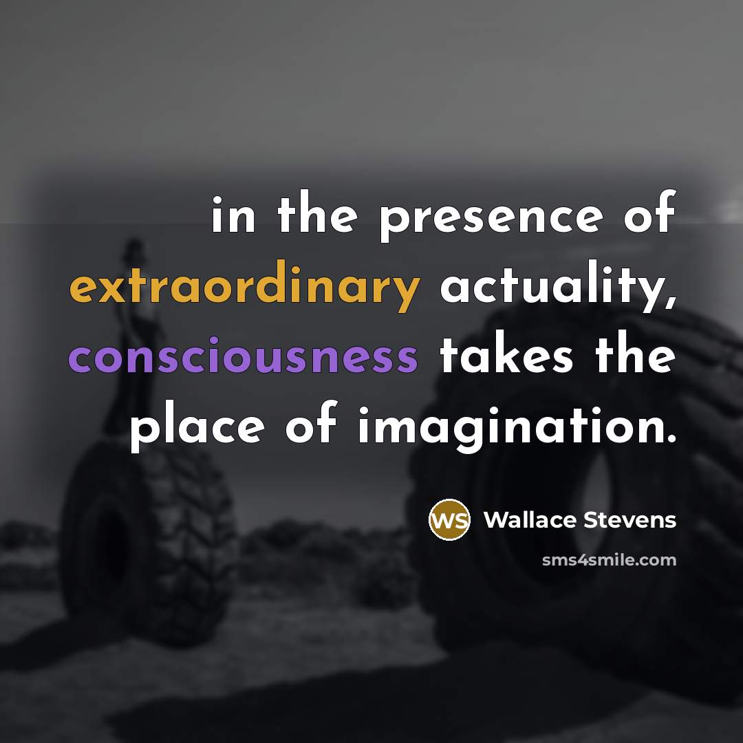 “in the presence of extraordinary actuality, consciousness takes the place of imagination.” quote by Wallace Stevens