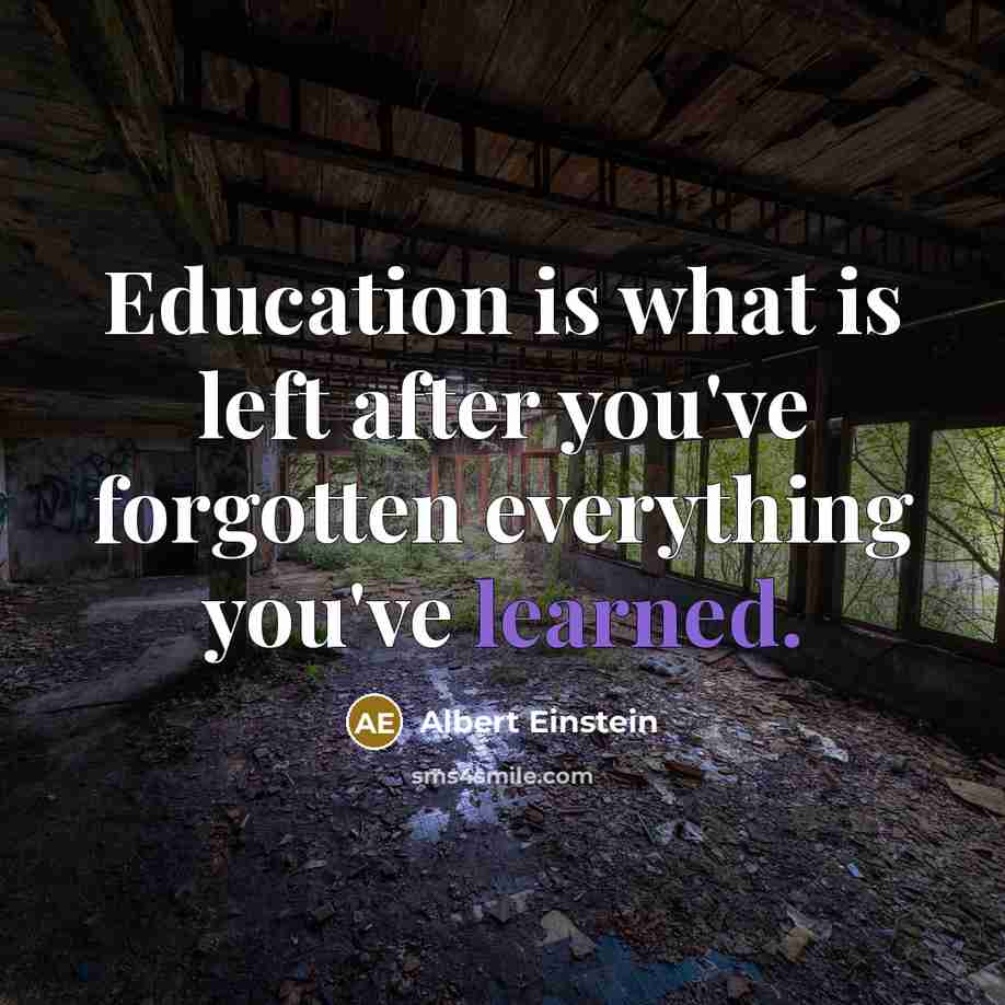 “Education is what is left after you've forgotten everything you've learned.” quote by Albert Einstein