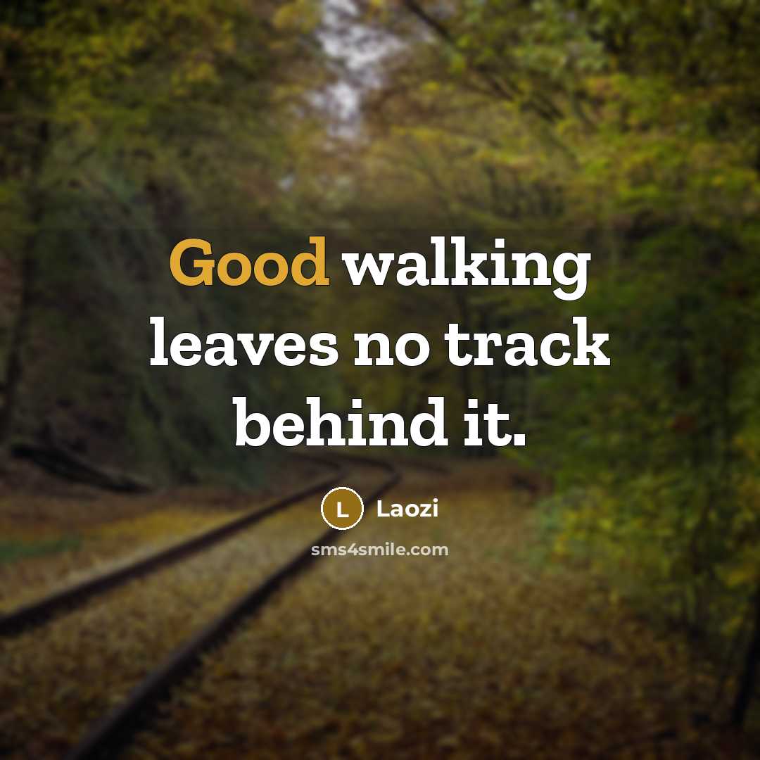 “Good walking leaves no track behind it.” quote by Laozi