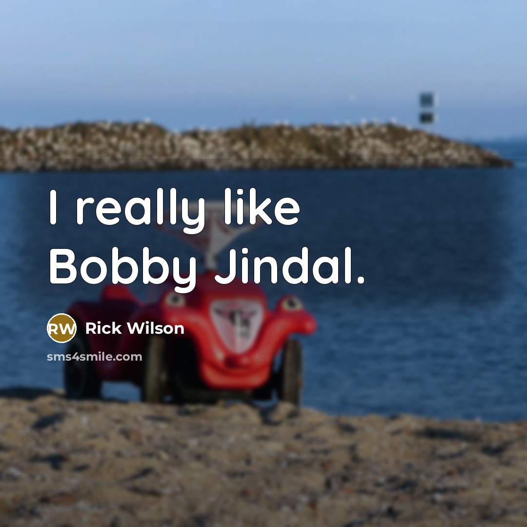 “I really like Bobby Jindal.” quote by Rick Wilson